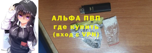 прущие грибы Богородск