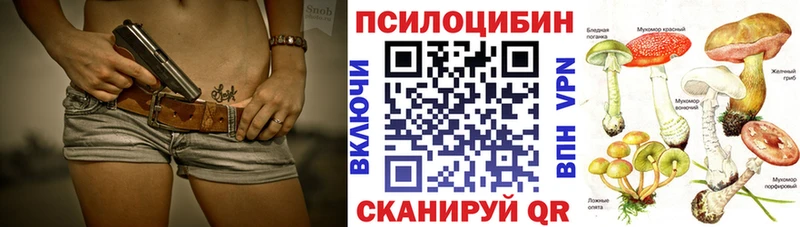 Галлюциногенные грибы Cubensis  Бородино 